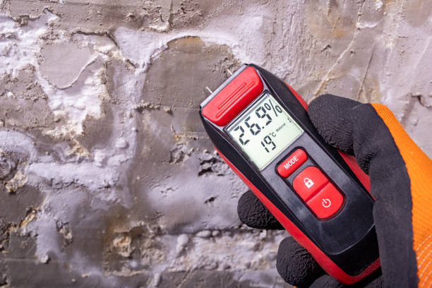 Best Mold Testing and Removal  in North Windham, ME