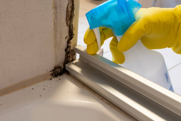 Best Water Damage Restoration  in North Windham, ME